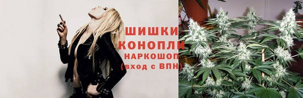 шишки Краснослободск