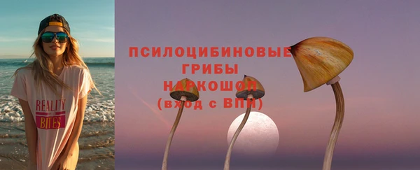 шишки Краснослободск