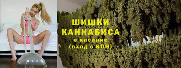 шишки Краснослободск