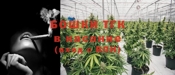 шишки Краснослободск