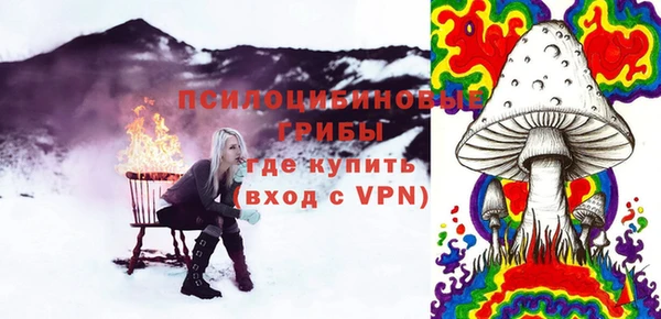 шишки Краснослободск
