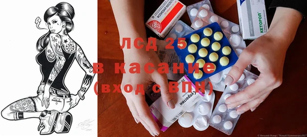 шишки Краснослободск