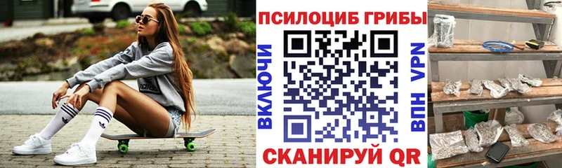 Галлюциногенные грибы Psilocybine cubensis  Купить  Шадринск 